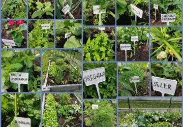 Zielona Bobowa ma swój ogródek