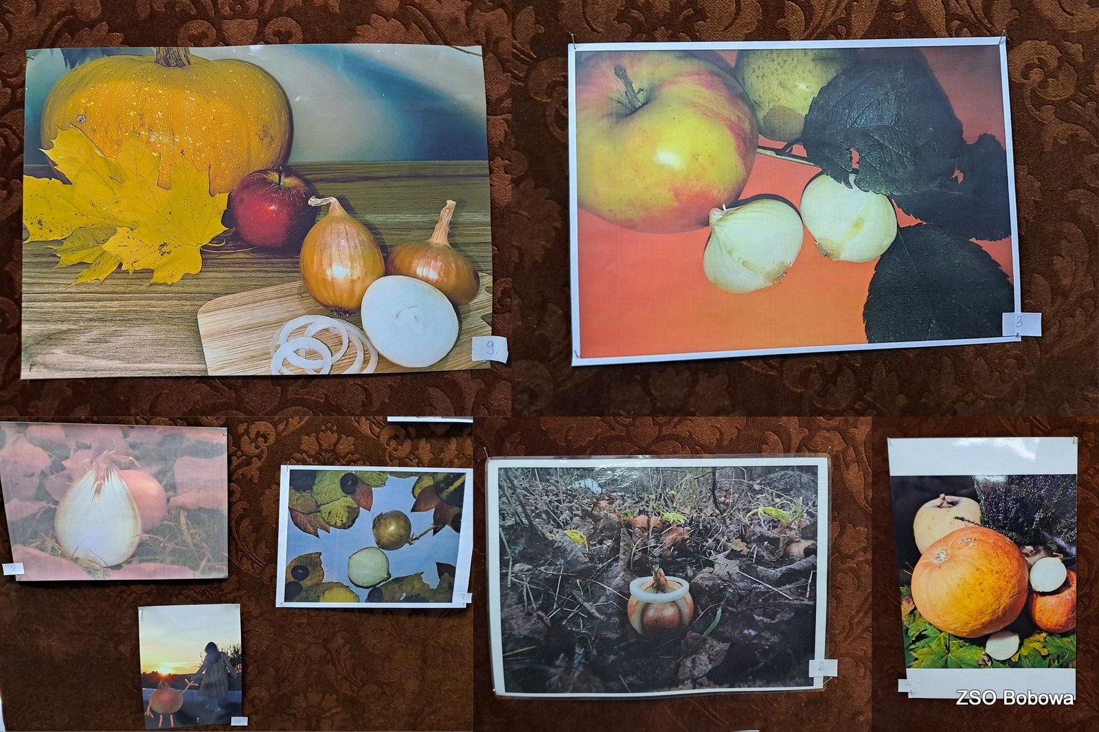 Konkurs biblioteczny „Cebula w (jesiennej) odsłonie Szymborskiej” rozstrzygnięty