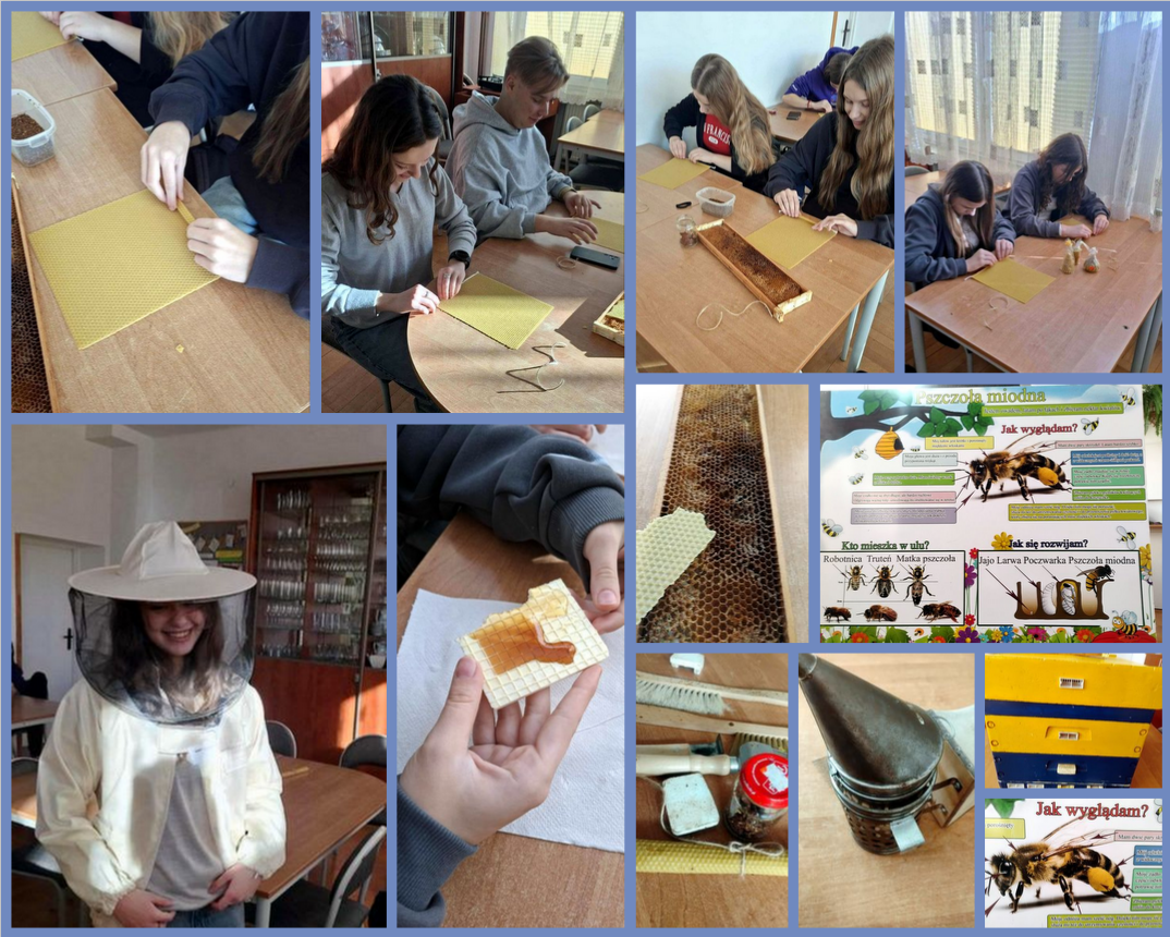 Z życia pszczół ... w ZSO w Bobowej