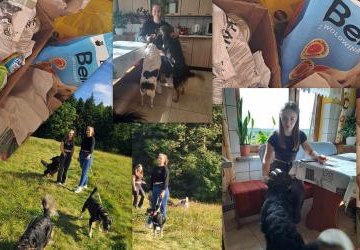 W ZSO dokarmia(MY) zwierzęta