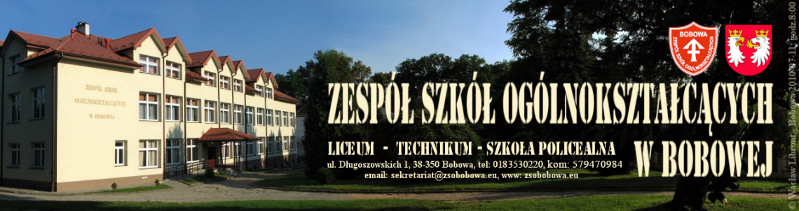 ZSObaner2010
